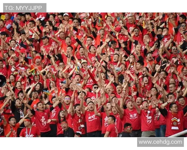 足球明星荣誉之路各自奖杯数量揭秘与成就分析